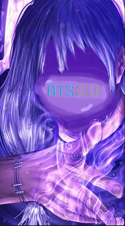 bts sio